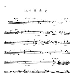 古柏小协奏曲 大提琴 古柏