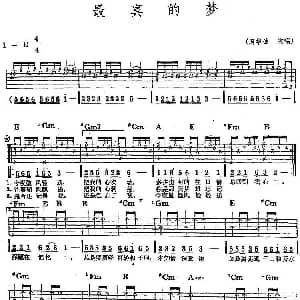 民族吉他弹唱 最真的梦 吉他谱 周华健