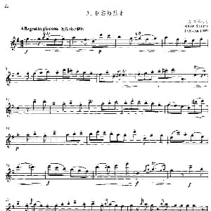 长笛曲谱 | 中高级练习 连奏与清晰吹奏练习 乐曲部分 回旋随想曲