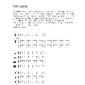 Söli rapide 非洲手鼓谱