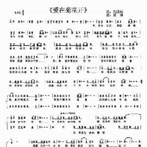 爱在菊花开_民歌简谱_词曲:刘成兵 黄涛