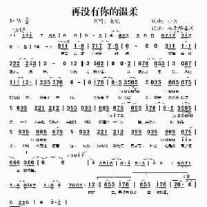 再没有你的温柔_歌谱投稿_词曲:小宾 小宾