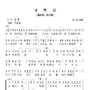 寻情记_通俗唱法乐谱_词曲:洪凯 洪凯