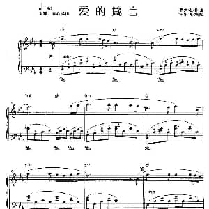 爱的箴言 钢琴谱 许乐飞