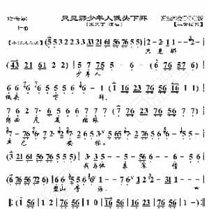 鸳鸯冢 只见那少年人低头下拜_歌曲简谱_词曲:暂无 恒流星制谱