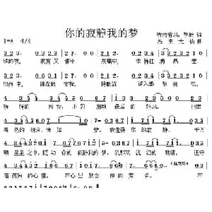 你的寂静我的梦_通俗唱法乐谱