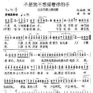 不是我不想握着你的手_通俗唱法乐谱_词曲:徐南铁 颂今
