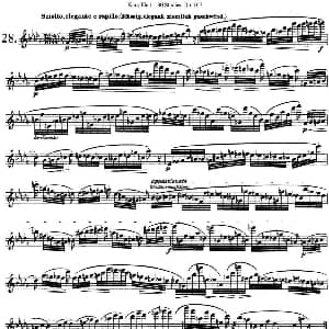 长笛曲谱 | 卡 伊勒特30首长笛练习曲Op.107 NO.28 NO.30 Karg Elert 卡 伊勒特