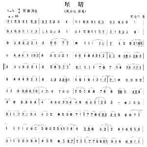 笛子谱 | 星晴