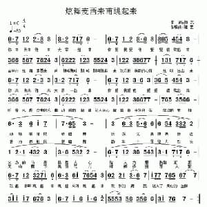 炫舞麦西来甫跳起来_通俗唱法乐谱_词曲:随艺 随艺