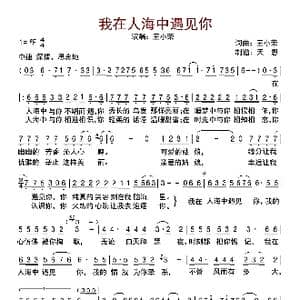我在人海中遇见你_歌曲简谱_词曲:王小荣 王小荣