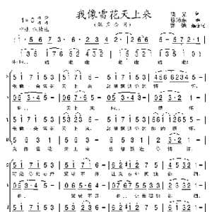 我像雪花天上来 亦弛改编 _歌曲简谱_词曲:晓光 徐沛东