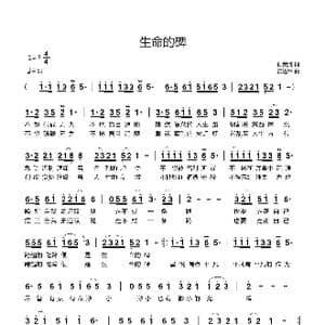 生命的碑_歌曲简谱_词曲:孙美请 黄进军