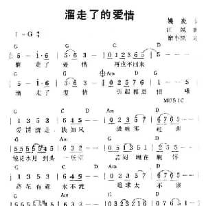 溜走了的爱情_通俗唱法乐谱_词曲:姚炎 江凤