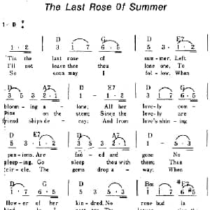 The Last Roes Of Summer 美国 _外国歌谱