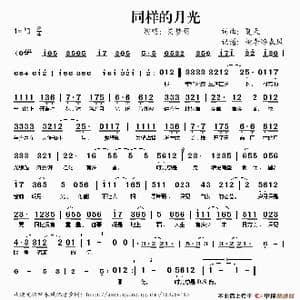 同样的月光_歌谱投稿_词曲:夏天 夏天