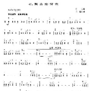 二胡谱 | 梨山痴情花 王懳编曲订谱 于文