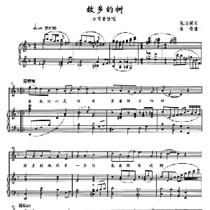 故乡的树_美声唱法乐谱_词曲:阮志斌 金奇