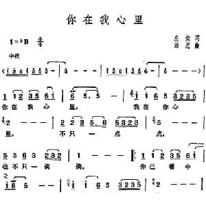 邓丽君演唱金曲 你在我心里_通俗唱法乐谱_词曲:庄奴 汤尼