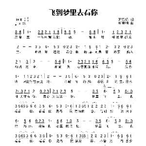 飞到梦里去看你_歌谱投稿_词曲:邓瞻思远 木易晓旭