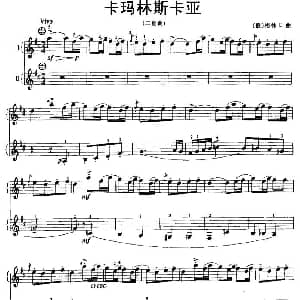 手风琴谱 | 卡玛林斯卡亚 二重奏 俄 格林卡