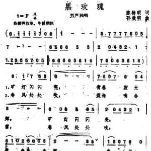黑玫瑰_民歌简谱_词曲:陈特明 孙效明