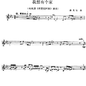 小提琴谱 | 我想有个家 电视剧 把爱找回来 插曲 潘美辰