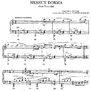 今夜无人入眠 钢琴谱