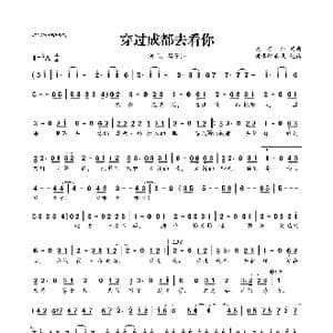 ​穿过成都去看你_歌曲简谱_词曲:黑子沛 黑子沛