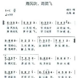 海风吹,海鸥飞_民歌简谱_词曲:颂今 兆雄