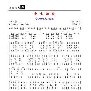 会飞的花_歌谱投稿_词曲:张海 加农
