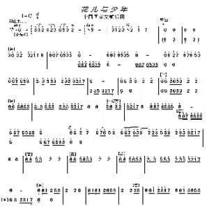 花儿与少年_歌曲简谱