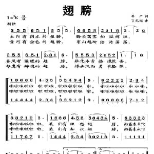 翅膀_儿歌乐谱_词曲:李严 丁先红