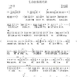 生命因你而精彩_歌曲简谱_词曲:孙义勇 杨洪波