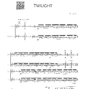 小提琴谱 | TWILIGHT 二重奏 王烱