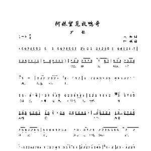 阿妹望见牧鸭哥_歌谱投稿_词曲:王海 叶磊