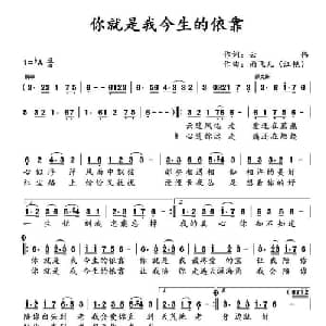 ​你就是我今生的依靠_通俗唱法乐谱_词曲:云伟 汪艳