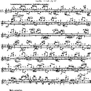 长笛曲谱 | 卡 伊勒特30首长笛练习曲Op.107 NO.13 NO.15 Karg Elert 卡 伊勒特