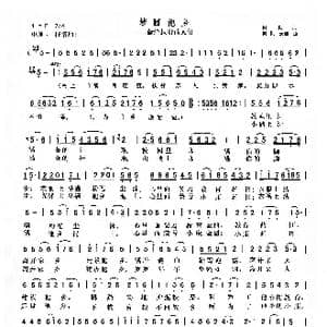 梦圆他乡_歌曲简谱_词曲:向侃 向侃李云翔