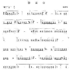 笛子谱 | 望星空 铁源