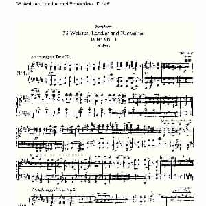 38华尔兹舞曲, Ländler and Ecossaises D.145