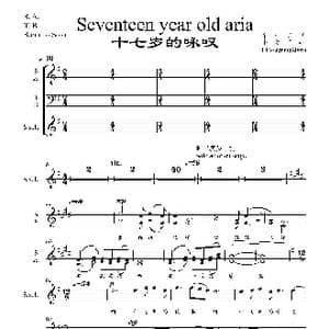 十七岁的咏叹 _歌曲简谱_词曲:宋小明 李文平 2005