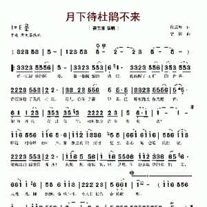 月下待杜鹃不来_歌谱投稿_词曲:徐志摩 曾檐