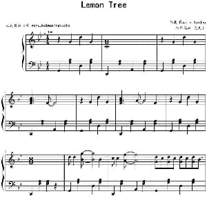 Lemon Tree 钢琴谱 Fool's Garden作曲 文武贝钢琴