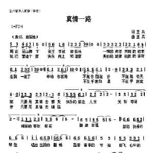 真情一路_通俗唱法乐谱_词曲:王兵 王兵