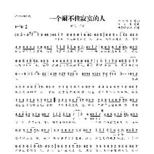 一个耐不住寂寞的人_歌曲简谱_词曲:千山万水 金久哲