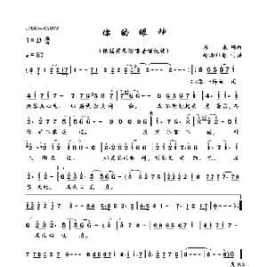 你的眼神_歌曲简谱_词曲:苏来 苏来