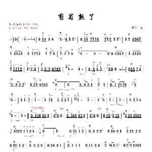 葡萄熟了_歌曲简谱_词曲: 周维