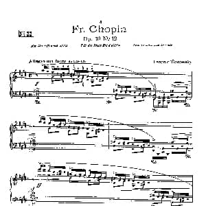 53首以肖邦练习曲为素材而作的练习曲 钢琴谱 里奥鲍尔德 戈多夫斯基