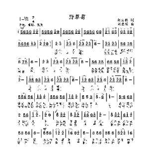 野草莓_歌曲简谱_词曲:胡志松 刘启明